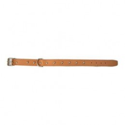 COLLAR PERRO FORNITURA 01010