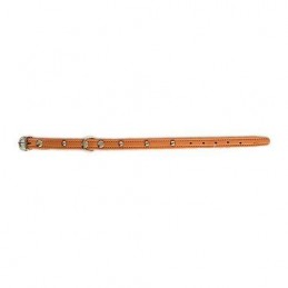 COLLAR PERRO FORNITURA 01002
