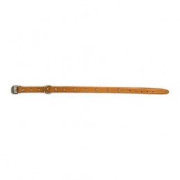 COLLAR PERRO FORNITURA 01007