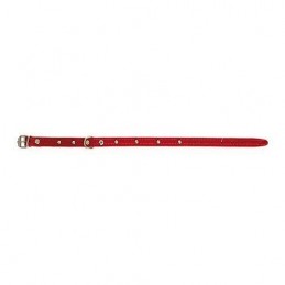 COLLAR PERRO FORNITURA 01005