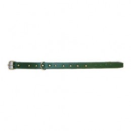 COLLAR PERRO COSIDO 3.5X60...