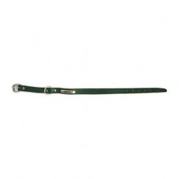 COLLAR PERRO CON PLACA 01018