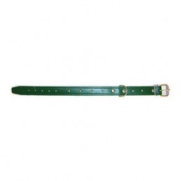 COLLAR PERRO FORNITURA 01008